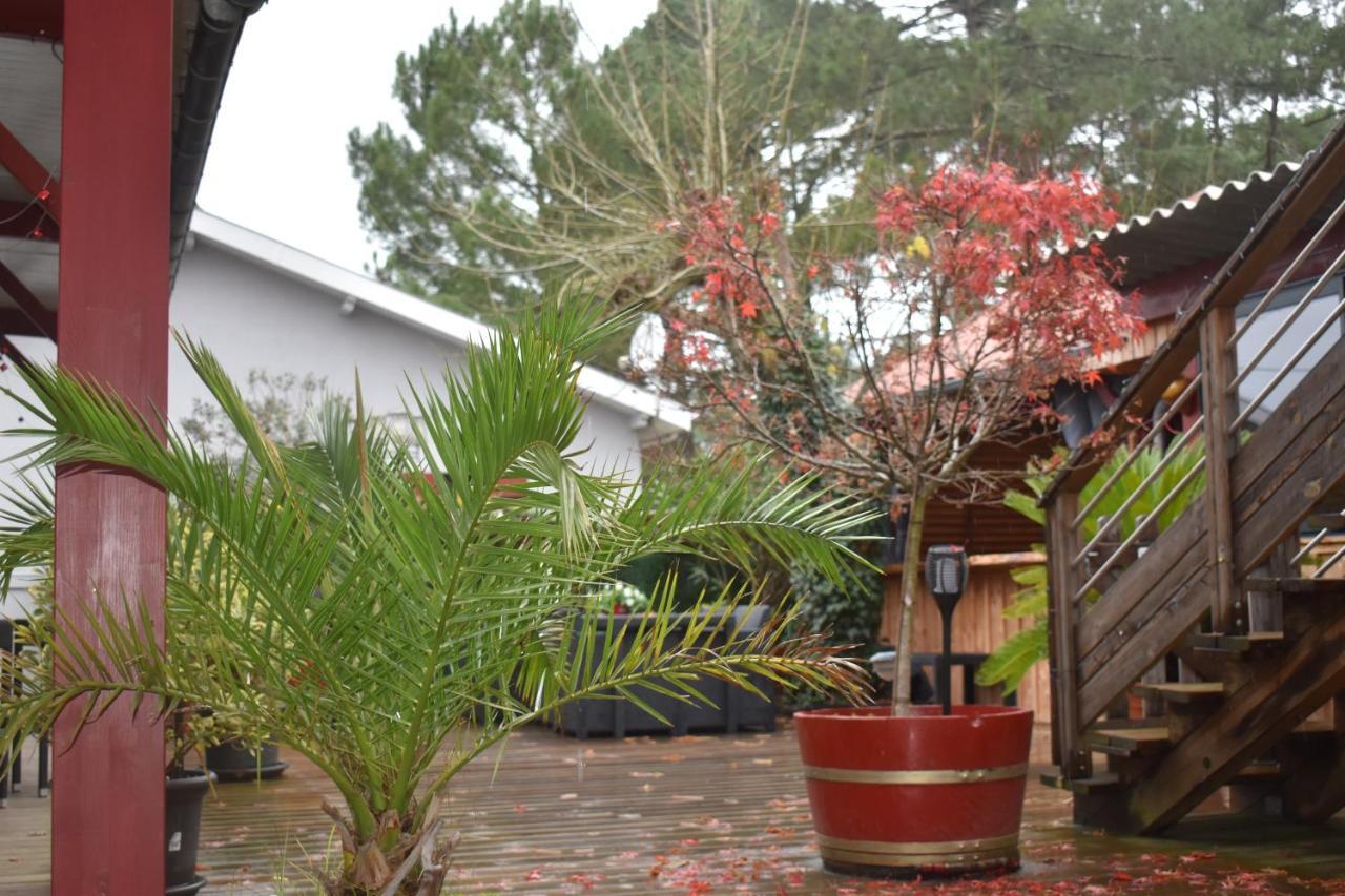 ラカノー Chez Augustin Bed & Breakfast エクステリア 写真
